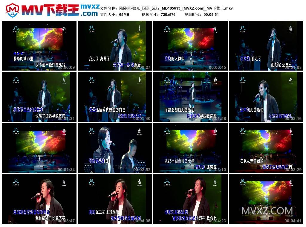 陆陟臣-微光_国语_流行_MD105613